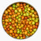Indian Jujubes Small Regi Pallu | Ber Fruit 450g